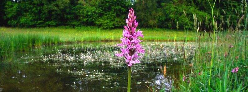 Wandelen in de achterhoek - Groepsaccommodatie en Vakantiehuis Lutje Kössink